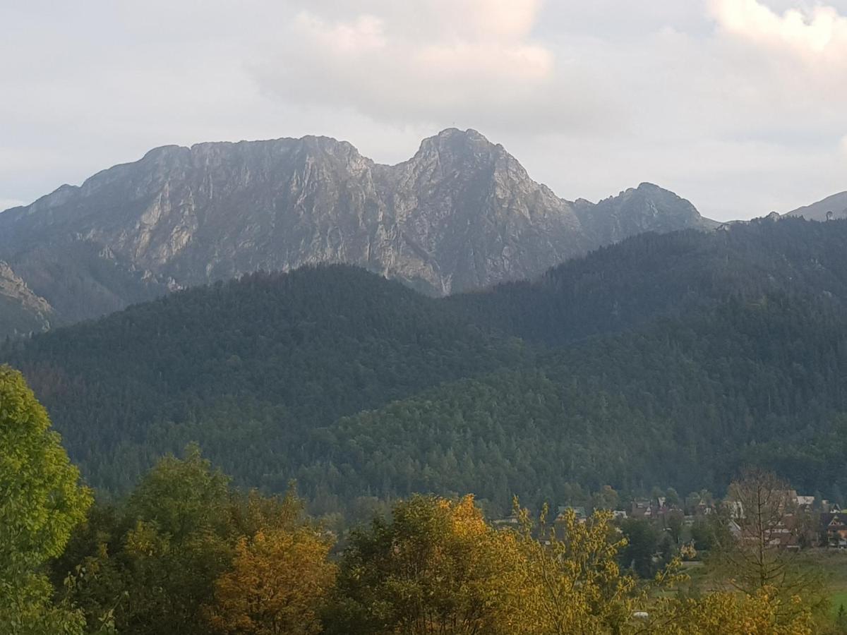 Apartament Apartament Sobiczkowa Zakopane Kościelisko Zewnętrze zdjęcie